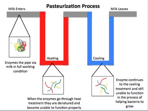 difference between autoclaving and pasteurization|13.2: Using Physical Methods to Control Microorganisms.